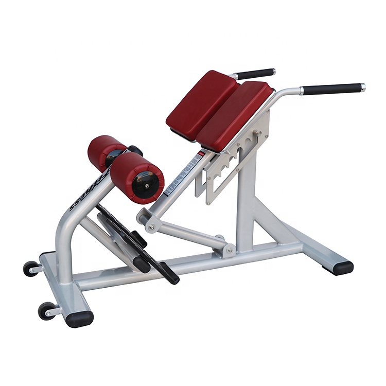 Silla Romana Unisex Ajustable  - Sports Equipment In School reseña y precio